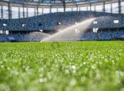 国安激战梅,巅峰对决,三将对抗四,PA真人,PA真人百家乐官方网站,PA,casino,PA真人app,PA真人百家乐登录入口,PA真人百家乐注册