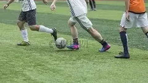 PA真人 资讯 144222 fbo