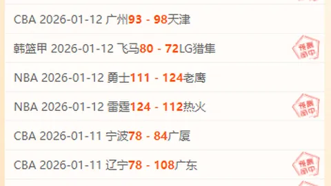 NBA裁判判罚解析：影响轮回命运的行业本质